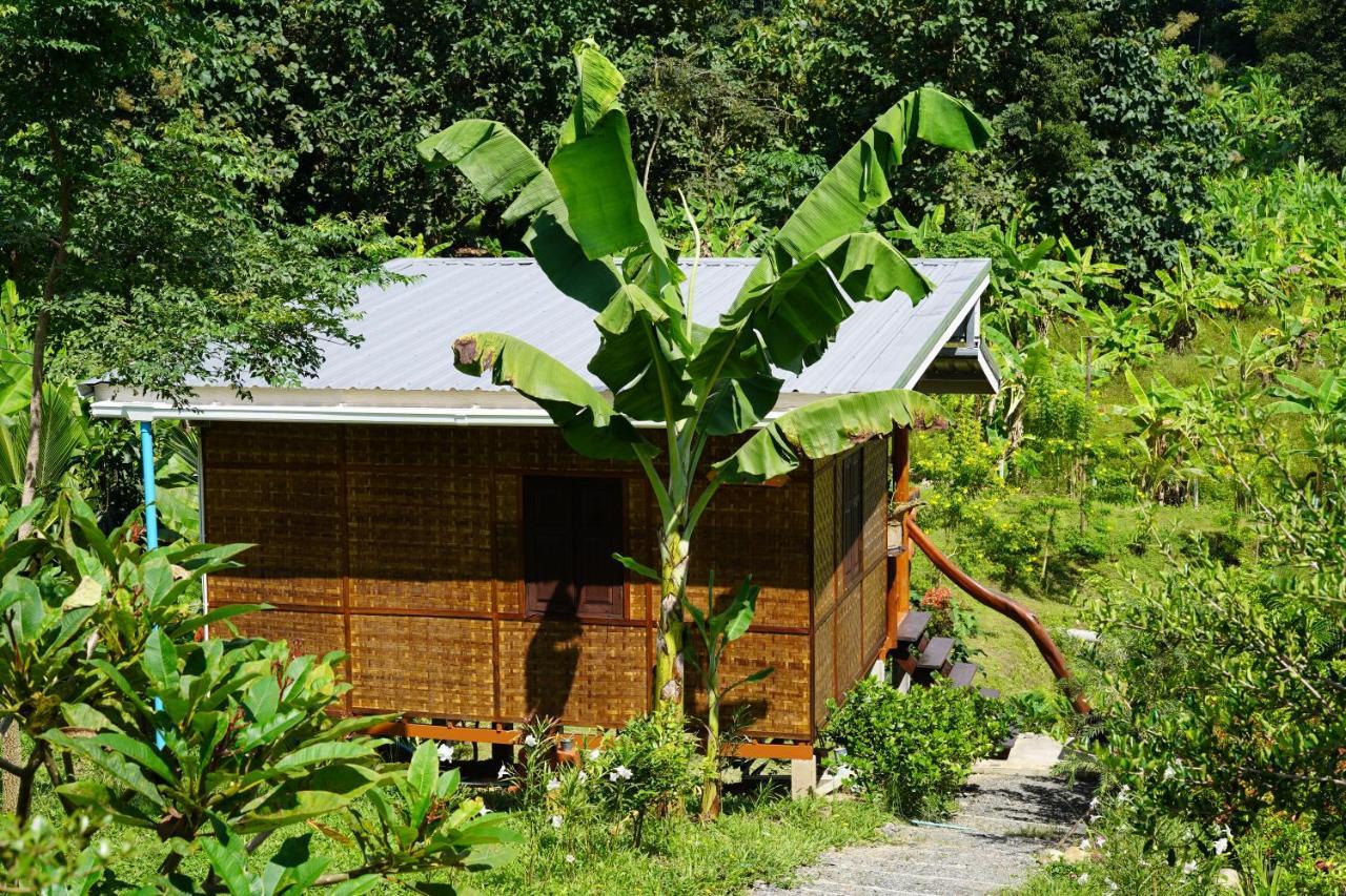 True Nature Chiang Mai - Yoga & Meditation Homestay Retreat Zewnętrze zdjęcie
