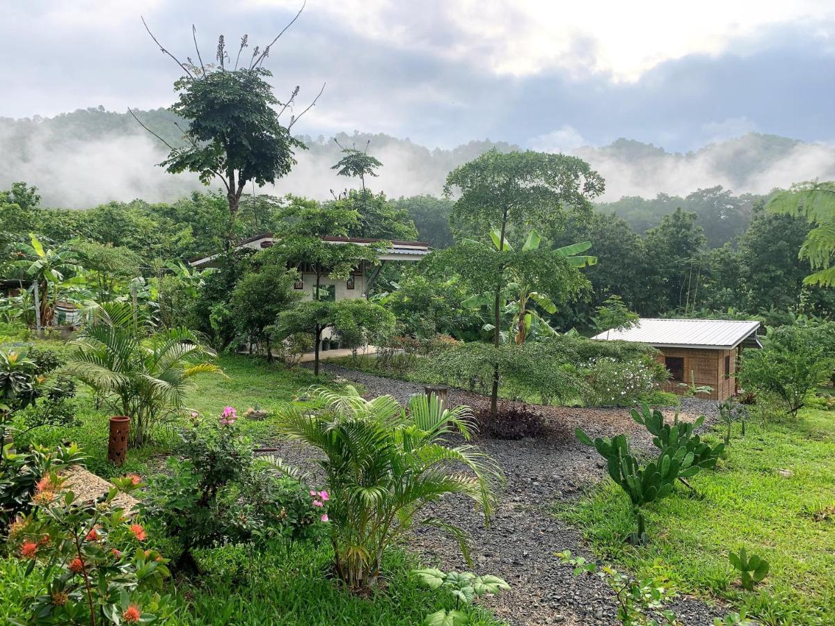 True Nature Chiang Mai - Yoga & Meditation Homestay Retreat Zewnętrze zdjęcie