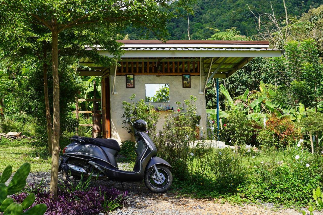 True Nature Chiang Mai - Yoga & Meditation Homestay Retreat Zewnętrze zdjęcie