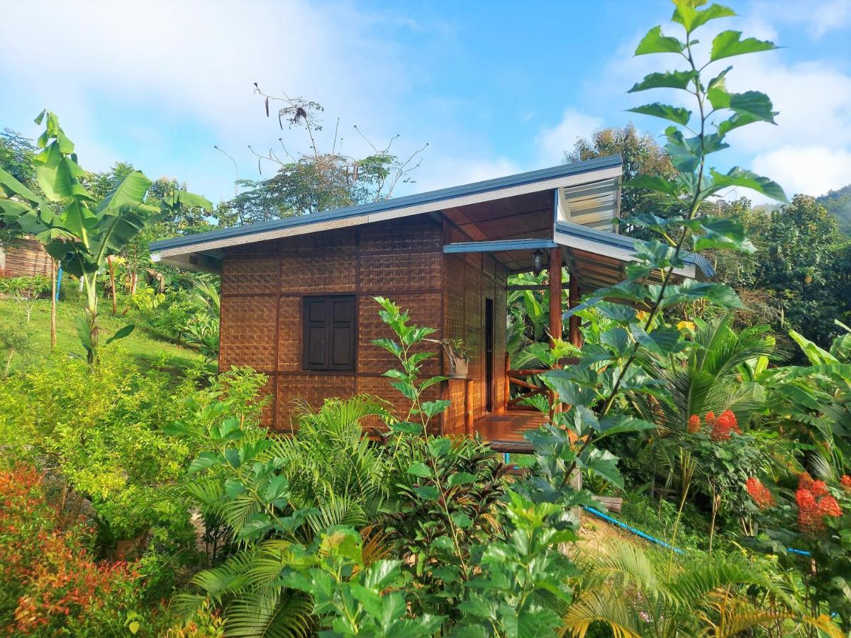 True Nature Chiang Mai - Yoga & Meditation Homestay Retreat Zewnętrze zdjęcie