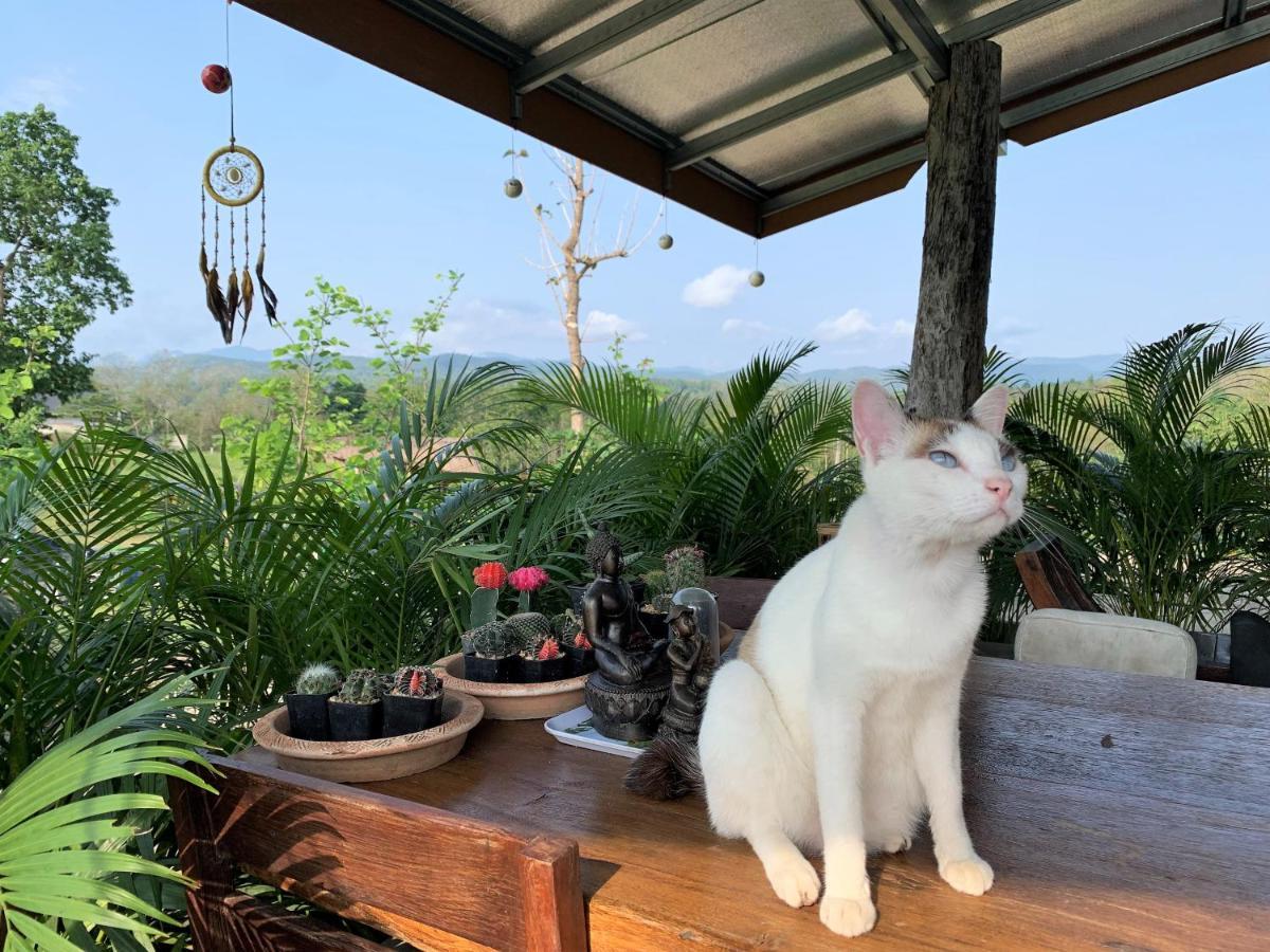 True Nature Chiang Mai - Yoga & Meditation Homestay Retreat Zewnętrze zdjęcie