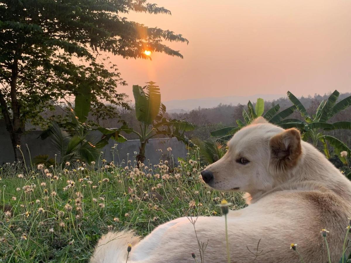 True Nature Chiang Mai - Yoga & Meditation Homestay Retreat Zewnętrze zdjęcie